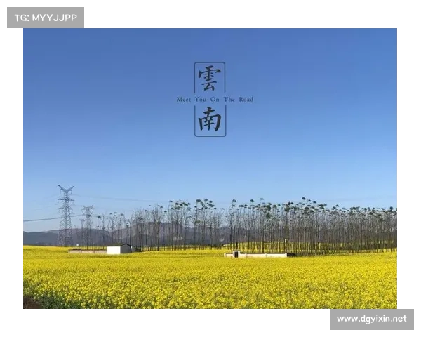 世上最伟大的中量级冠军,他没有输给任何人,只是输给了岁月 世上最伟大的中量级冠军,他没有输给任何人,只是输给了岁月